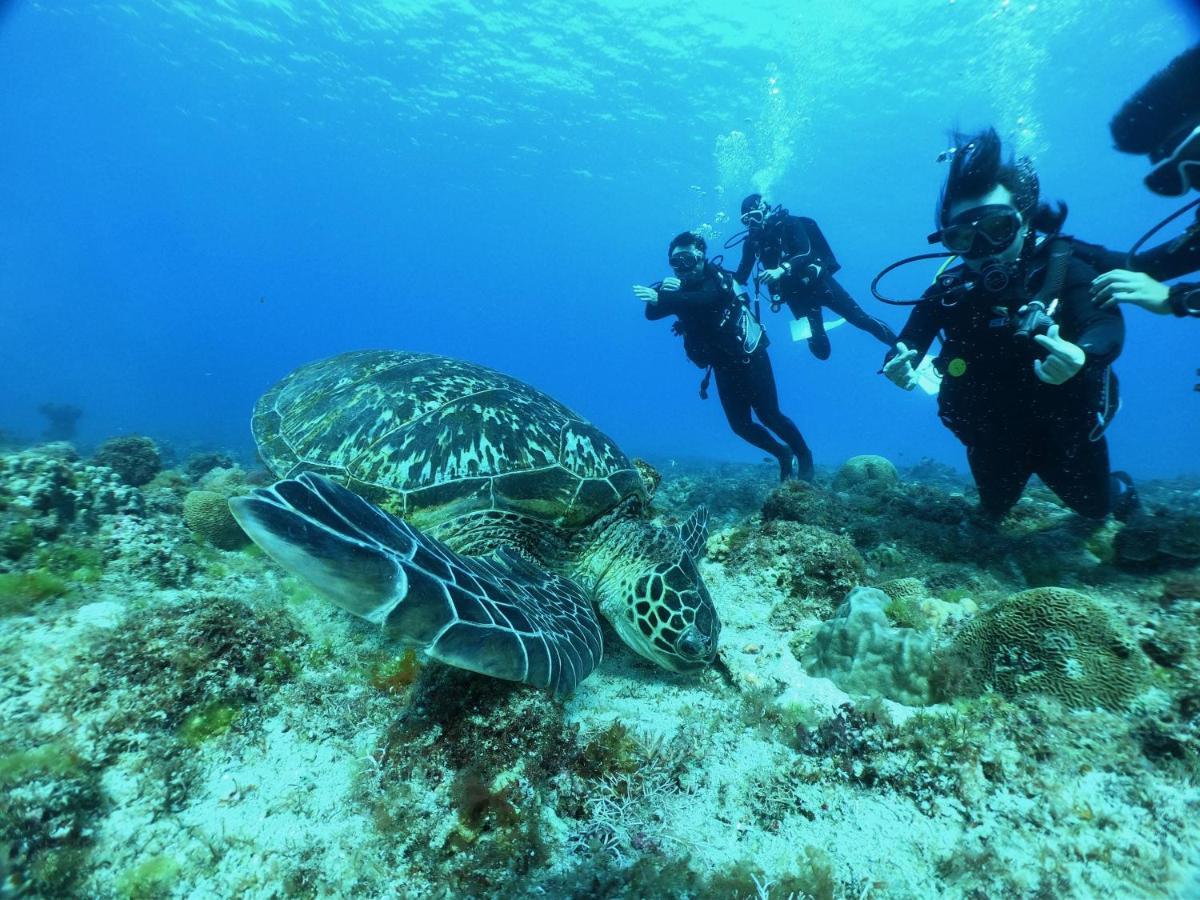 Stay Liuqiu Diving Hostel Сяолюцю Екстер'єр фото