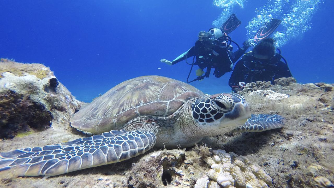 Stay Liuqiu Diving Hostel Сяолюцю Екстер'єр фото